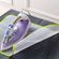 imageUrl_5