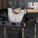 imageUrl_7
