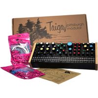 Pittsburgh Modular Taiga Sintetizador Analógico Semimodular de Escritorio con Compatibili