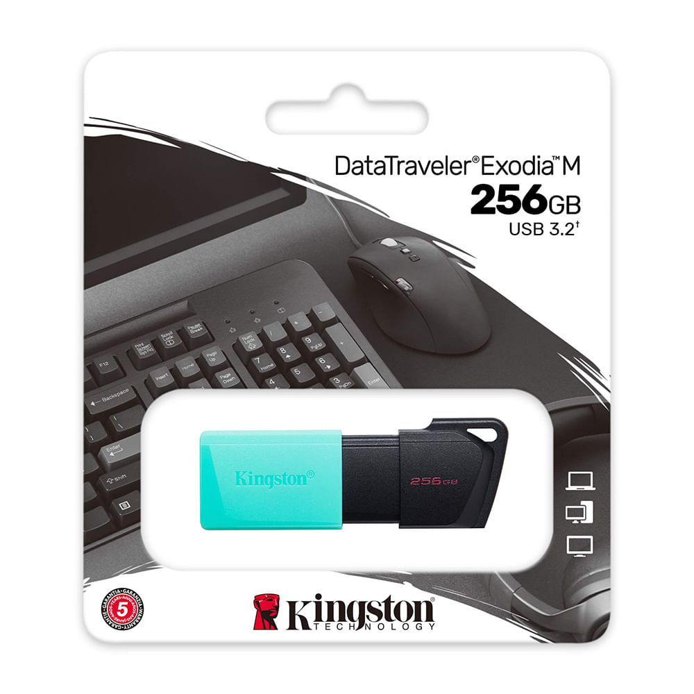 Memoria Flash USB Kingston DataTraveler Exodia M 256GB USB 3.2 Gen 1