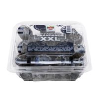 Blueberries XXL HORTIFRUT Bandeja 125g
