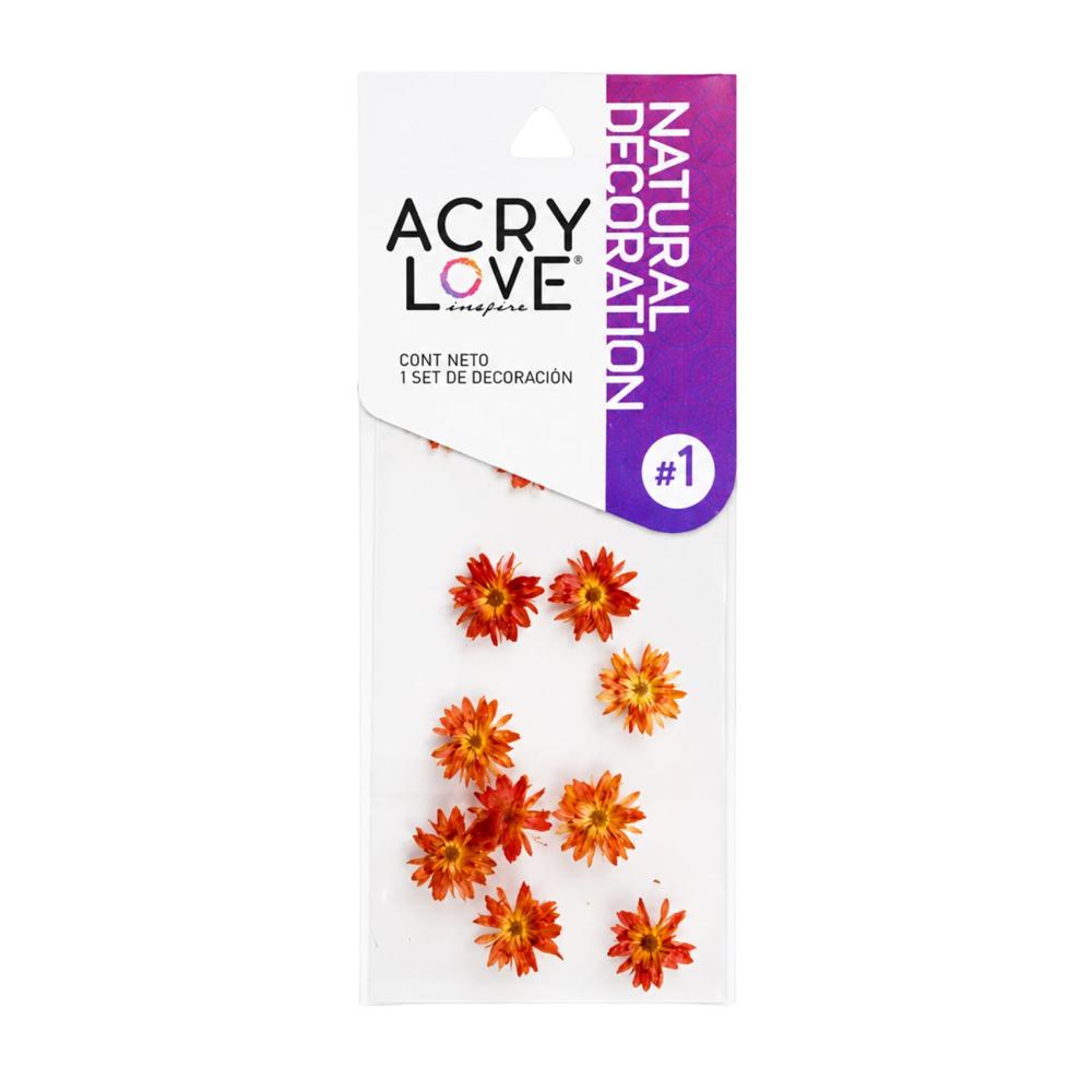 Decoracion Para Uñas Naturaleza Muerta Corona Naranja