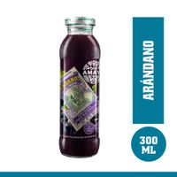 Bebida Natural BIO Arándano con Uva y Manzana Botella 300ml