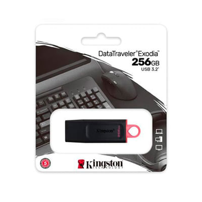 Memoria USB Kingston DataTraveler Exodia 256GB USB 3.2 DTX Negro