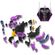 imageUrl_6
