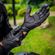 imageUrl_4