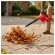 imageUrl_3