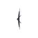 imageUrl_4