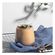 imageUrl_5