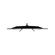 imageUrl_6
