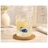 imageUrl_5