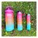 imageUrl_5