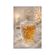imageUrl_6