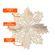imageUrl_5