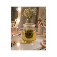 Tetera Infusora de Vidrio Borosilicato 600 ML con Filtro y Tapa