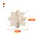 imageUrl_4