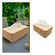 imageUrl_5