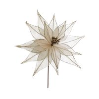 Poinsetia 16P 30 x 30 cm Champagne