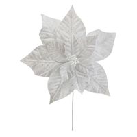 Poinsetia 12P 30 x 30 cm Blanco