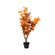 imageUrl_3