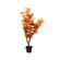 imageUrl_1