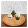 imageUrl_3