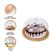 imageUrl_5