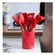imageUrl_5