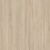 imageUrl_6
