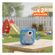 imageUrl_1