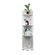 imageUrl_1