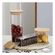 imageUrl_5