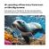 imageUrl_7