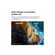 imageUrl_5