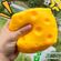 imageUrl_5