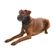 imageUrl_2