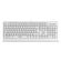 imageUrl_8