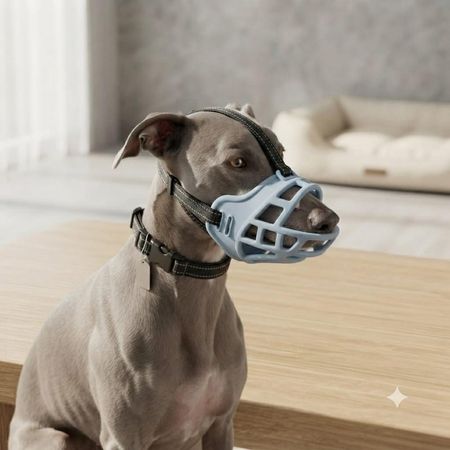 imageUrl_1
