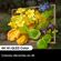 imageUrl_6