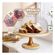 imageUrl_2