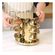 imageUrl_5