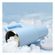 imageUrl_5