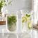 imageUrl_5