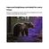 imageUrl_8