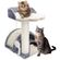 imageUrl_3