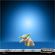 imageUrl_6