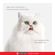 20634920-2