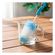 imageUrl_5