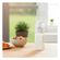 imageUrl_5