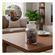 imageUrl_5